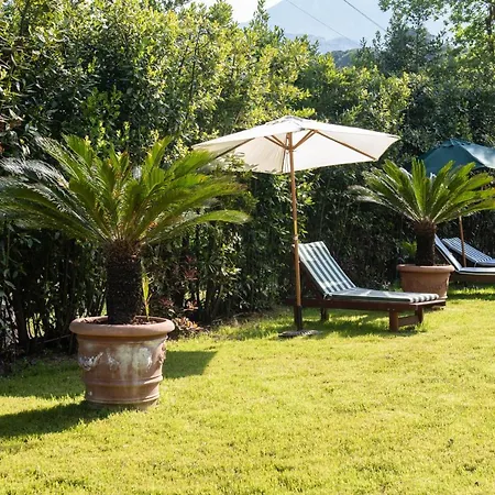Villa Viloca Camaiore